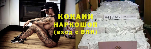 прущие грибы Абаза