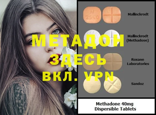 прущие грибы Абаза