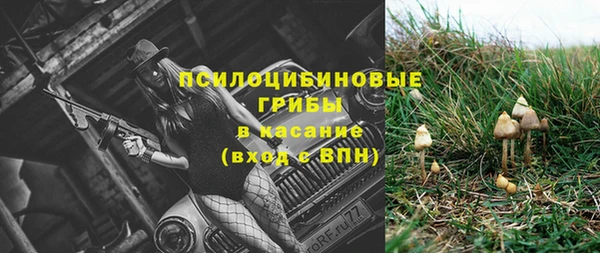 гашик Покачи