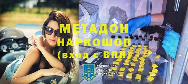 прущие грибы Абаза