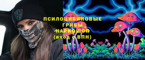 гашик Покачи