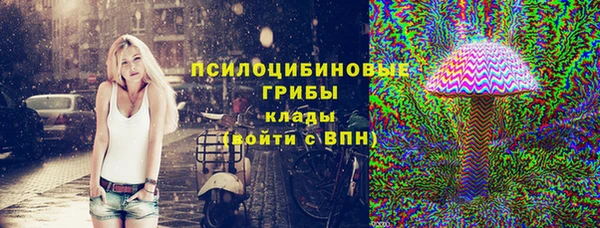 гашик Покачи