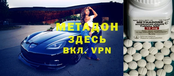 прущие грибы Абаза